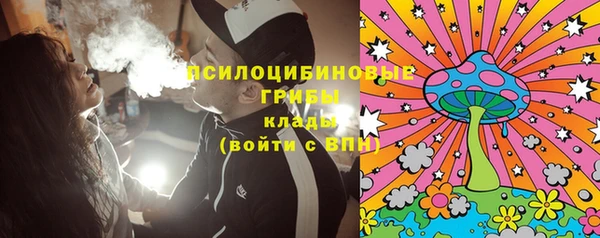 Альфа ПВП Осинники