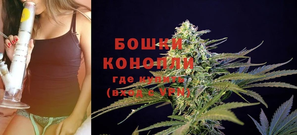 Альфа ПВП Осинники