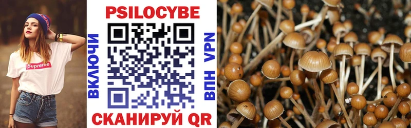 купить Александров Псилоцибиновые грибы Magic Shrooms