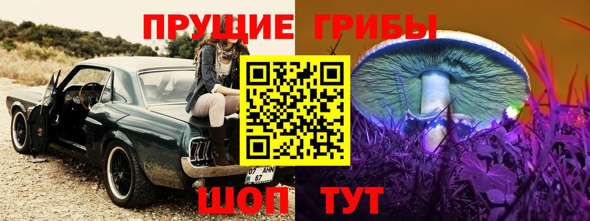 Галлюциногенные грибы MAGIC MUSHROOMS  Псилоцибиновые грибы Magic Shrooms  купить  сайты  Александров 